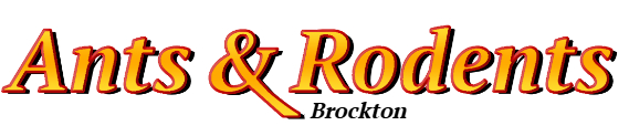 Brockton Ant Exterminator & Rodent Control Company Logo